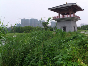 Temple & Pagoda  Wet Lands Adventures