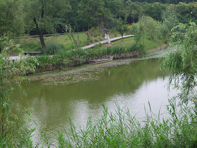 Temple & Pagoda  Wet Lands Adventures
