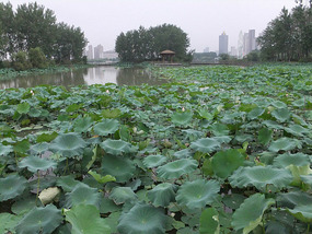 Bochishan Lake With Alica Adventures
