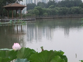 Bochishan Lake With Alica Adventures