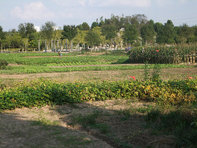 The Real Hexia Ancient Village