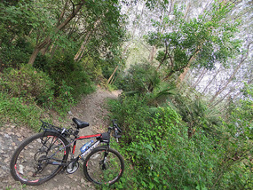The Peaceful Ride To Chuzhous Wentong Pagoda