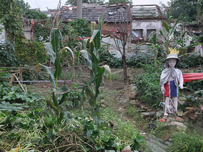 The Peaceful Ride To Chuzhous Wentong Pagoda