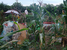 The Peaceful Ride To Chuzhous Wentong Pagoda