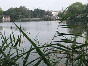 The Peaceful Ride To Chuzhous Wentong Pagoda