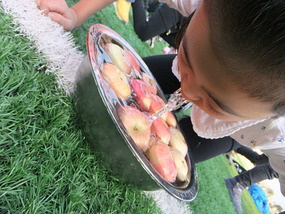 Apple Bobbing With Skippy