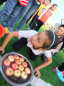 Apple Bobbing With Skippy