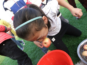 Apple Bobbing With Skippy