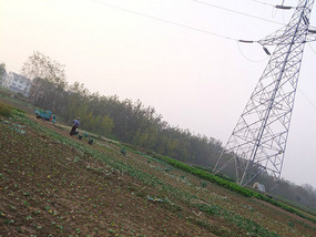 English Comp & Electric Ride Temple