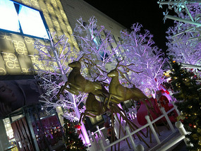 Brainz Buffet & Xmas Paper Cutting
