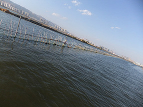 Kunming Seagull Lake Adventure