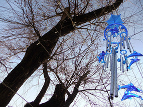Kunming Seagull Lake Adventure