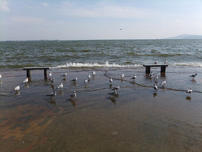 Kunming Seagull Lake Adventure