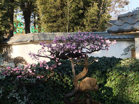 Kunming Seagull Lake Adventure