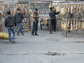Kunming Seagull Lake Adventure