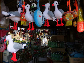 Kunming Seagull Lake Adventure