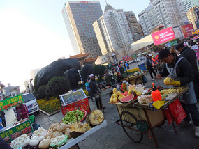 Kunming Seagull Lake Adventure