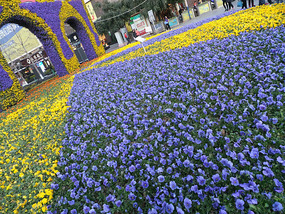 Kunming Seagull Lake Adventure