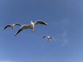 Kunming Seagull Lake Adventure