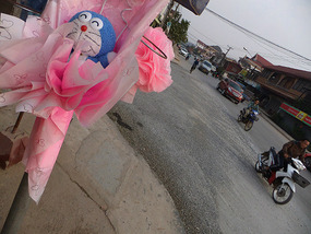 Border Crossing & To Luang Prabang