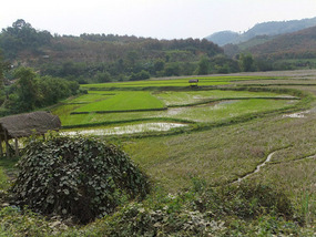 Border Crossing & To Luang Prabang