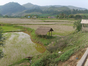 Border Crossing & To Luang Prabang