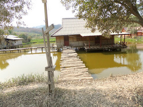 Border Crossing & To Luang Prabang