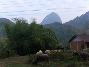 Border Crossing & To Luang Prabang