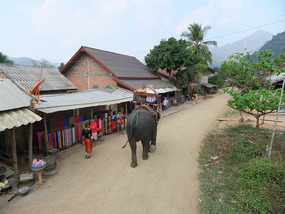 The Elephant Village Adventure