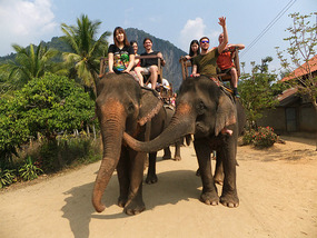 The Elephant Village Adventure