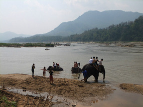 The Elephant Village Adventure