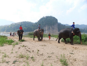 The Elephant Village Adventure