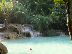 The Elephant Village Adventure