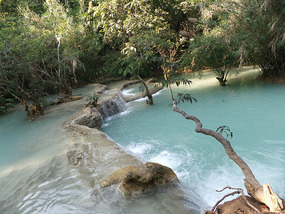 The Elephant Village Adventure