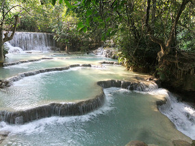 The Elephant Village Adventure