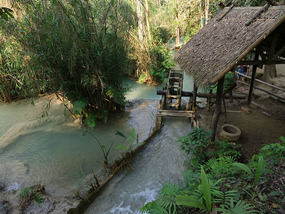 The Elephant Village Adventure