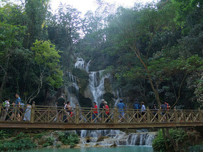 The Elephant Village Adventure