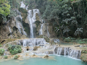 The Elephant Village Adventure