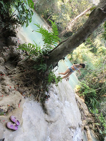 The Elephant Village Adventure