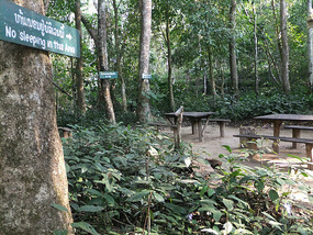 The Elephant Village Adventure