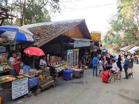 The Elephant Village Adventure