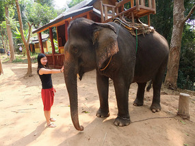 The Elephant Village Adventure