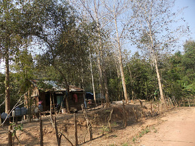 Wats Across The Mekong