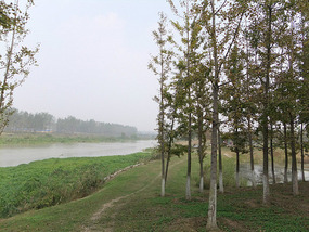 Old Yellow River Wetlands Adventures