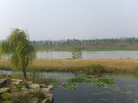 Old Yellow River Wetlands Adventures
