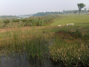 Old Yellow River Wetlands Adventures