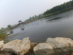 Old Yellow River Wetlands Adventures