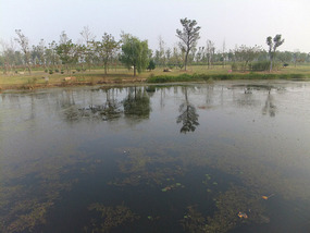 Old Yellow River Wetlands Adventures