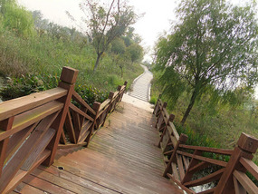 Old Yellow River Wetlands Adventures