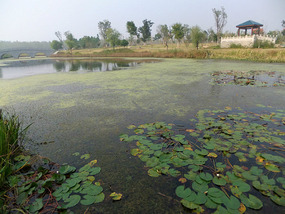 Old Yellow River Wetlands Adventures